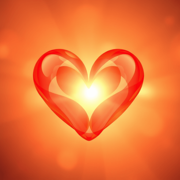 The Unfolding of an Open Heart: The Discovery of Unconditional&nbsp;Love